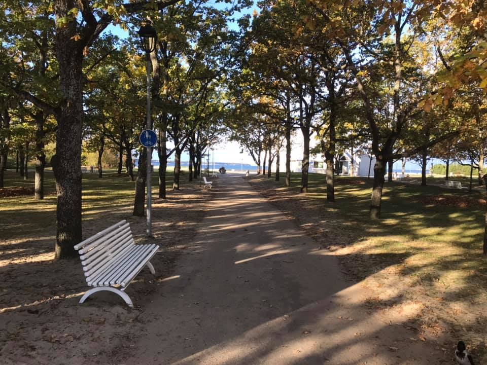 Stroomi rand, oktoober 2020