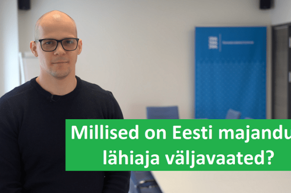 Risto Kask, majandusülevaade