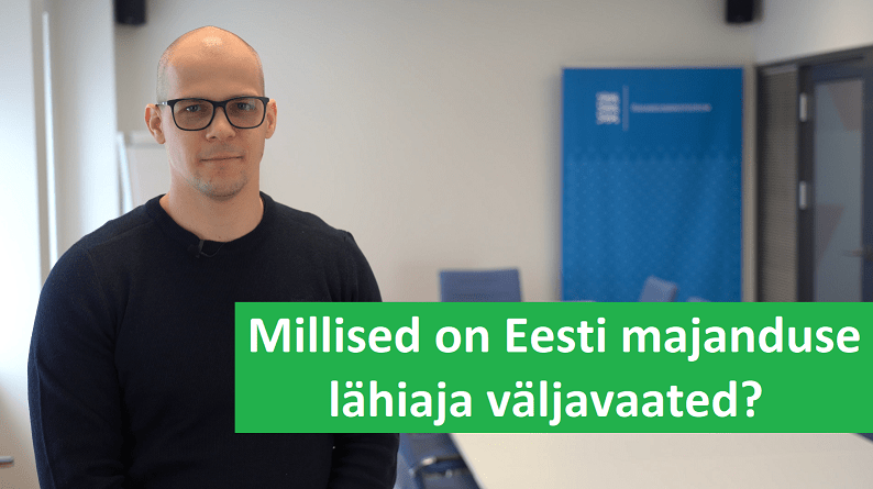 Risto Kask, majandusülevaade